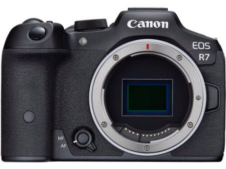 Canon EOS R7, Body Only For Discount