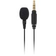 Rode Lavalier Go Omnidirectional Lavalier Microphone F Wireless Go Online Hot Sale