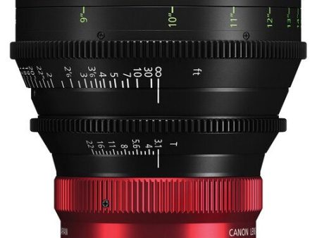 Canon CN-R 14mm T3.1 L F Cinema Prime Lens (RF Mount) on Sale